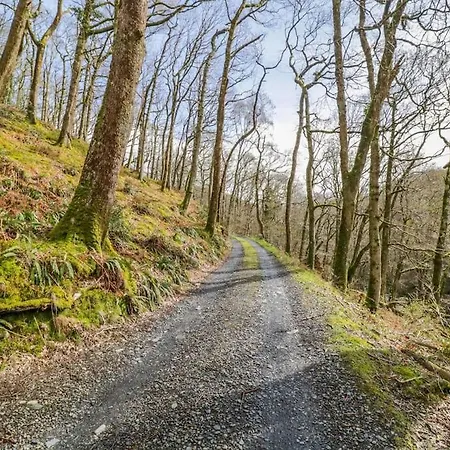 Y Cwtch - Panoramic Mountain Views Within Snowdonia'S National Park - 4X4 Recommended Villa Dolgellau Exterior photo