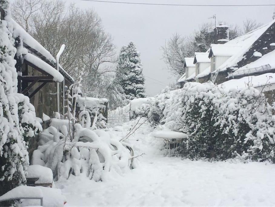 Y Cwtch - Panoramic Mountain Views Within Snowdonia's National Park - 4x4 Recommended Holiday home Dolgellau