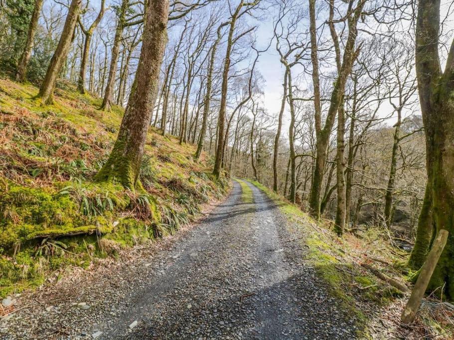 Y Cwtch - Panoramic Mountain Views Within Snowdonia's National Park - 4x4 Recommended * Dolgellau